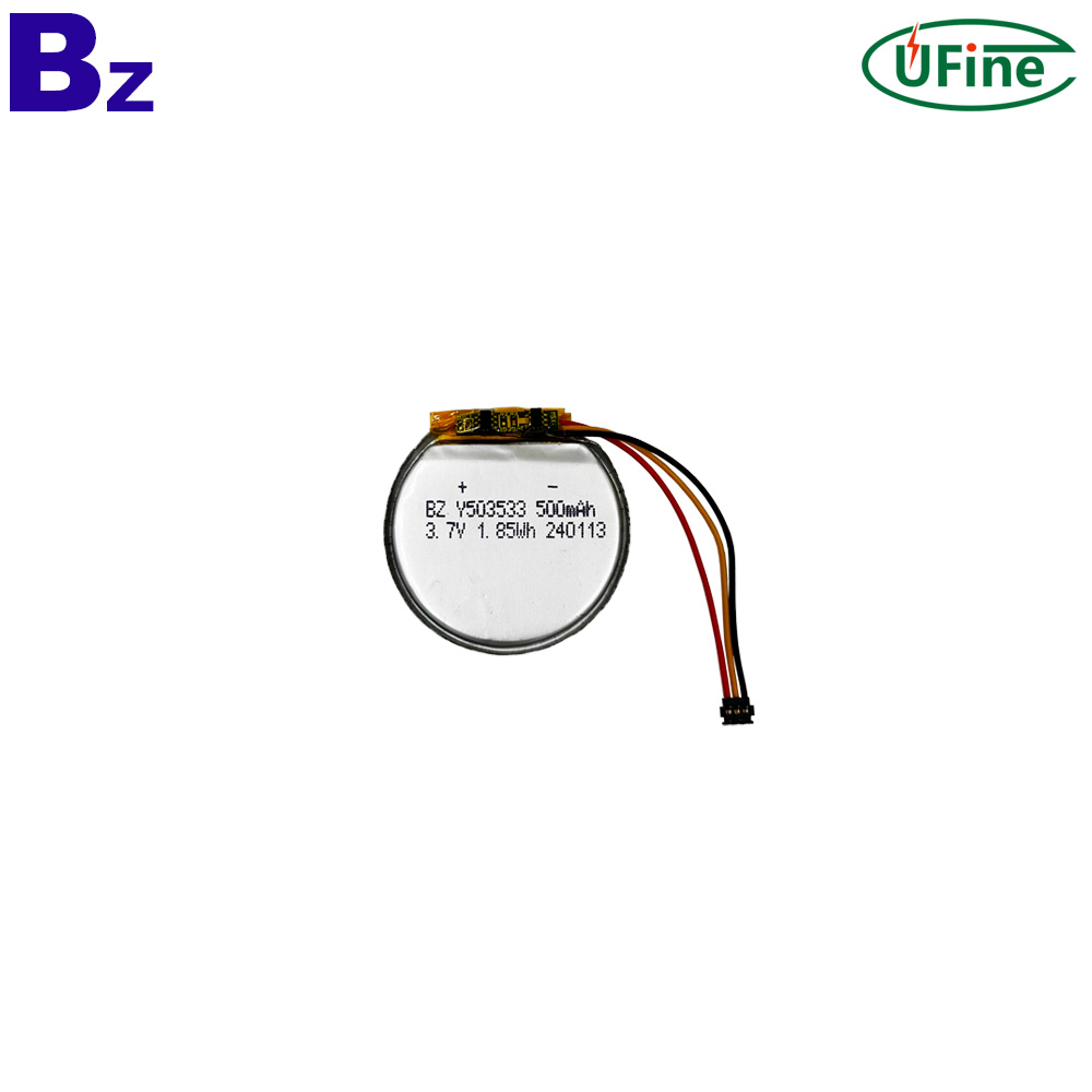 Professional Customized Round Battery